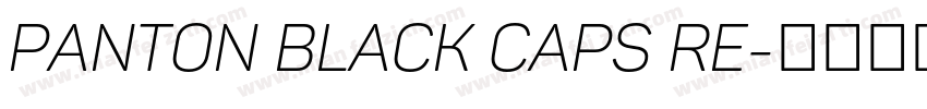 Panton Black Caps Re字体转换